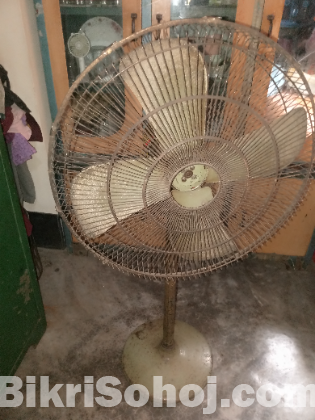 Fan